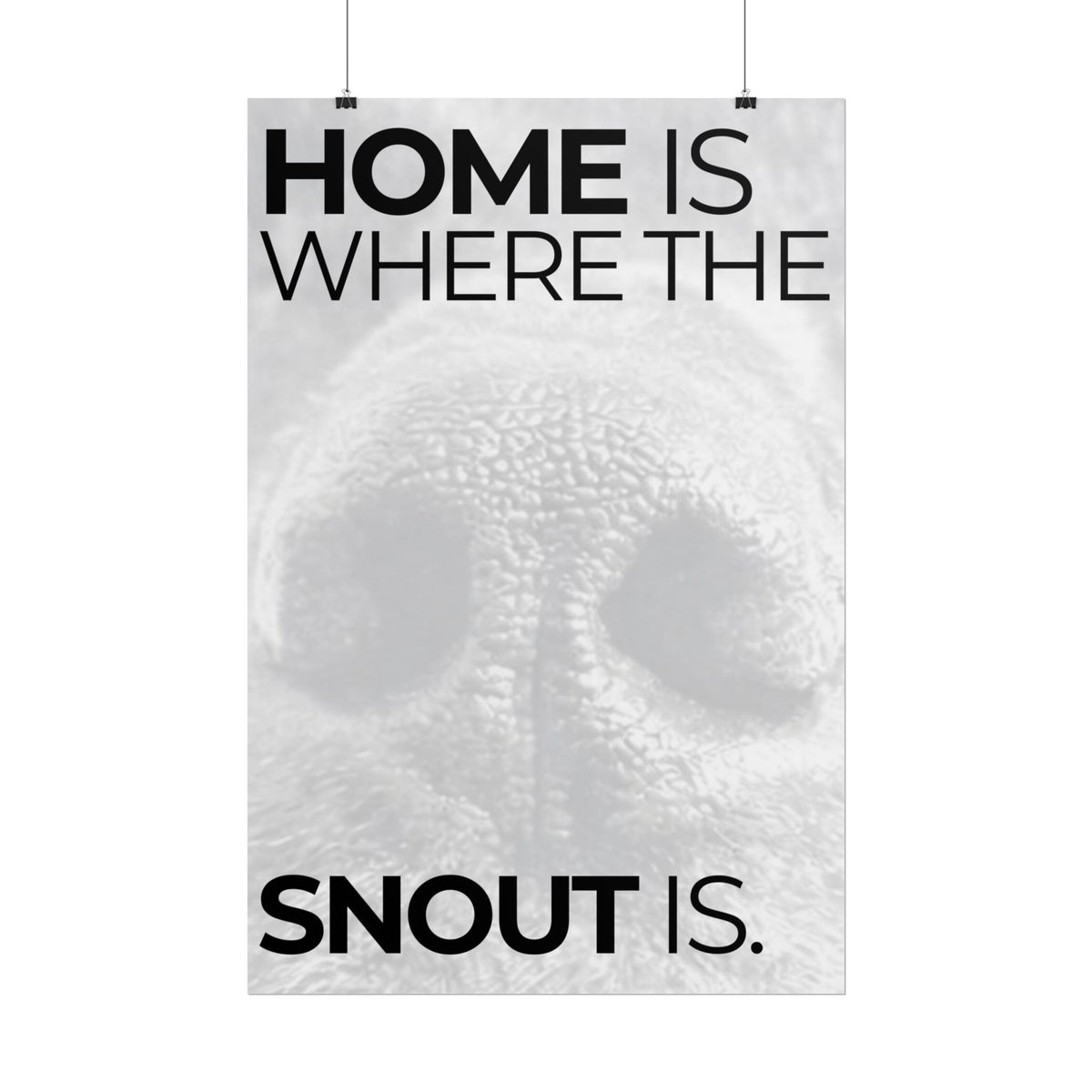 Home Is Where The Snout Is - SNOUT Wall Art