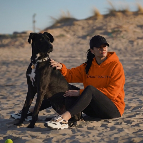 Big Back Logo Hoodie