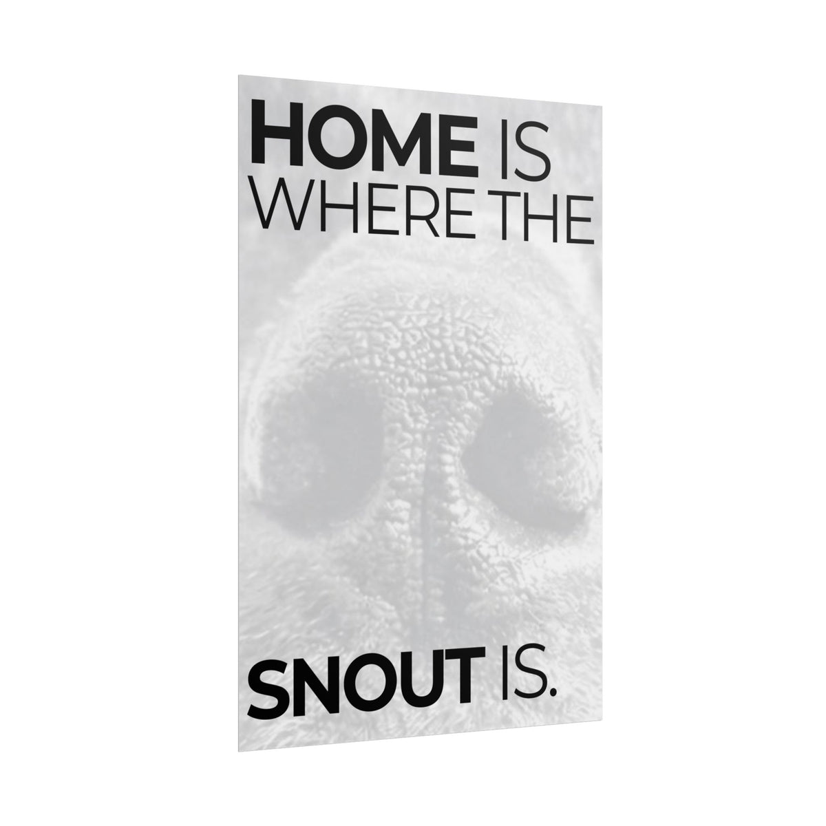 Home Is Where The Snout Is - SNOUT Wall Art