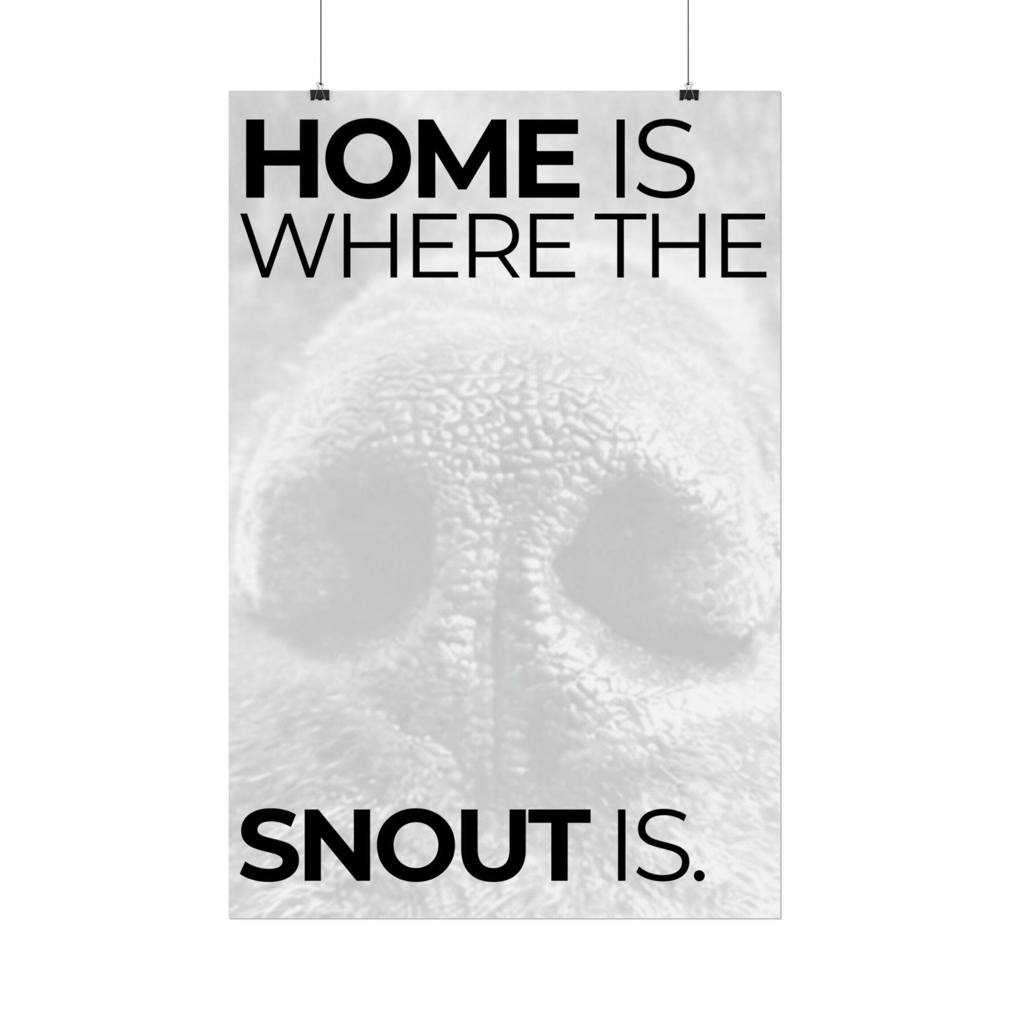 Home Is Where The Snout Is - SNOUT Wall Art
